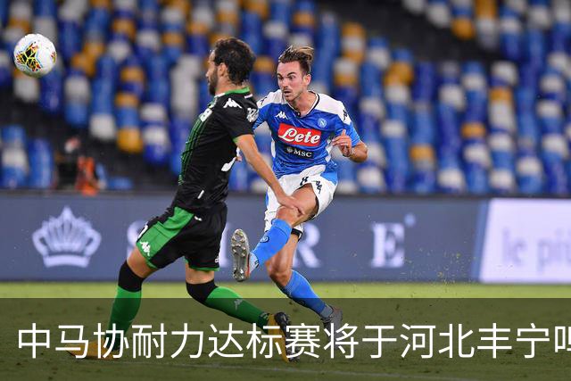 中马协耐力达标赛将于河北丰宁鸣枪 数十家专业马术俱乐部角逐