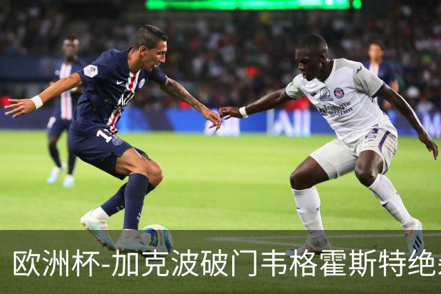 欧洲杯-加克波破门韦格霍斯特绝杀 荷兰2-1波兰
