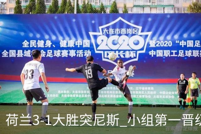 荷兰3-1大胜突尼斯 小组第一晋级淘汰赛将战摩洛哥